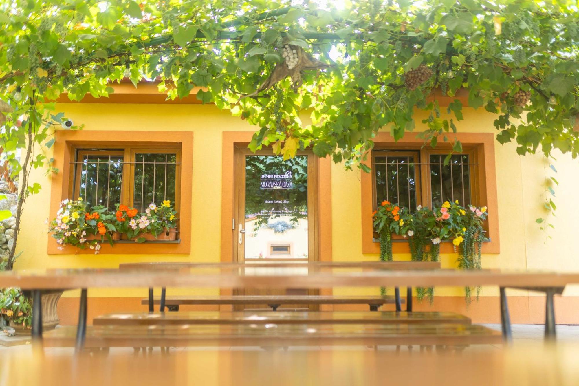Penzion Moravská oáza Valtice Exterior foto